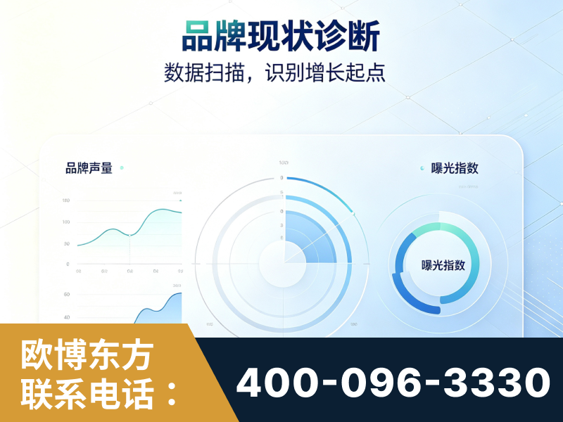 沙河-品牌现状诊断