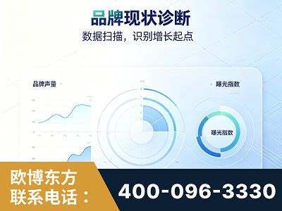 沙河-品牌现状诊断