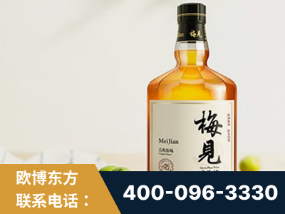 沙河-梅见青梅酒